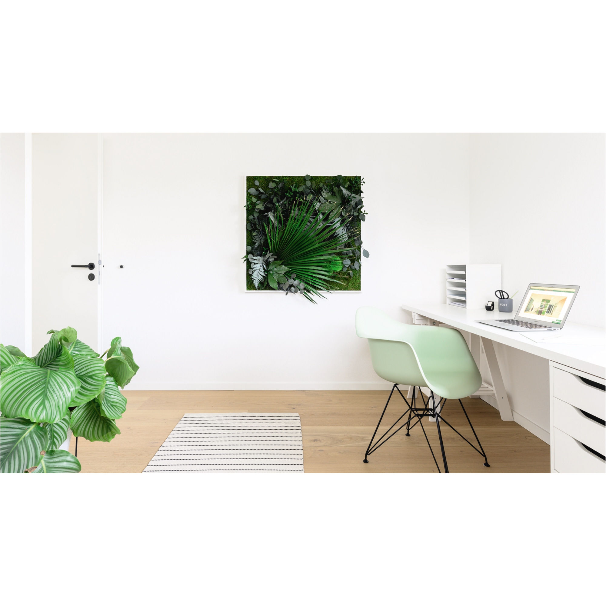 StyleGreen Pflanzenbild Dschungeldesign Moos weiß Vollholzrahmen 80 x 80 x 4 cm (B x H x T)