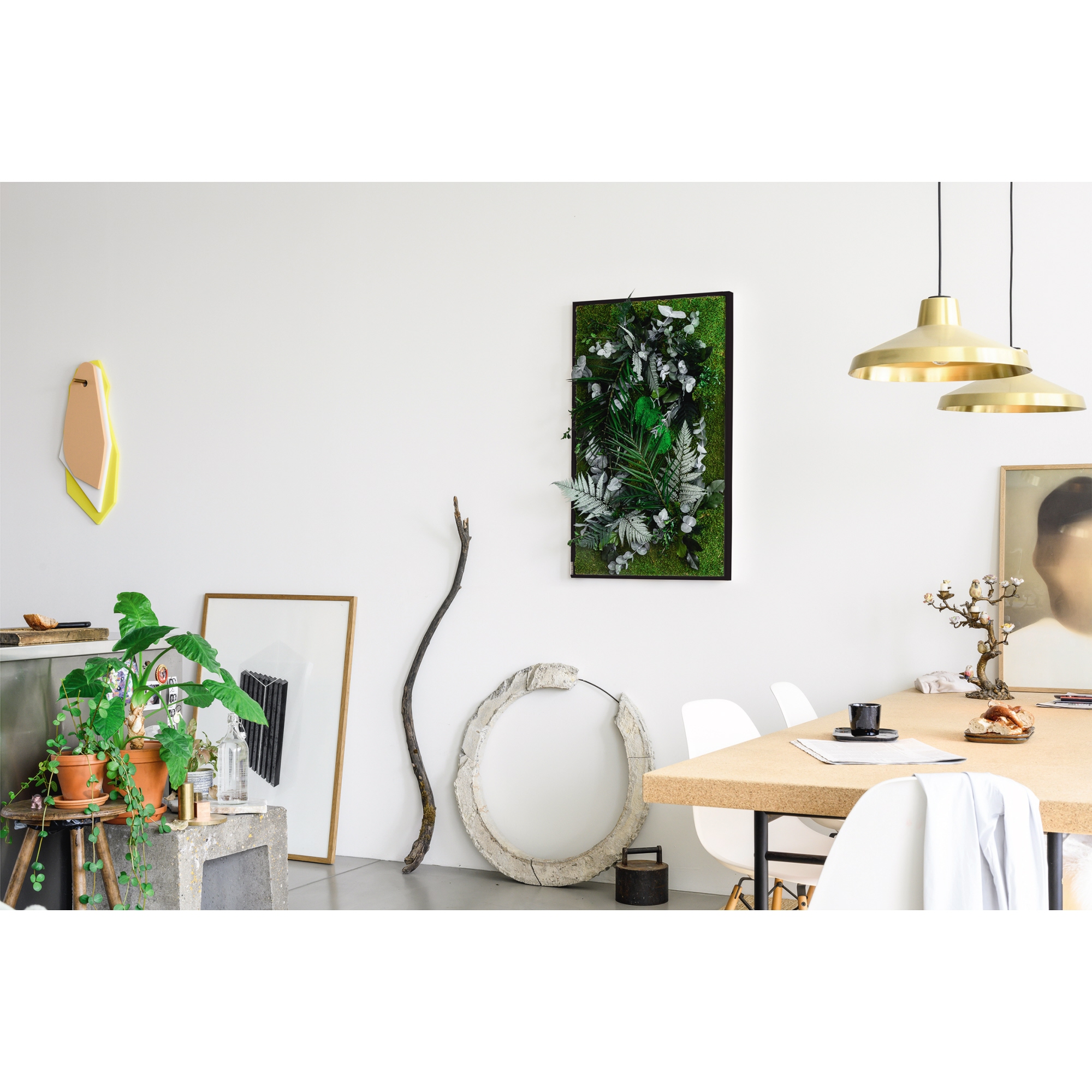 StyleGreen Pflanzenbild Dschungeldesign Moos weiß Vollholzrahmen 100 x 60 x 4 cm (B x H x T)