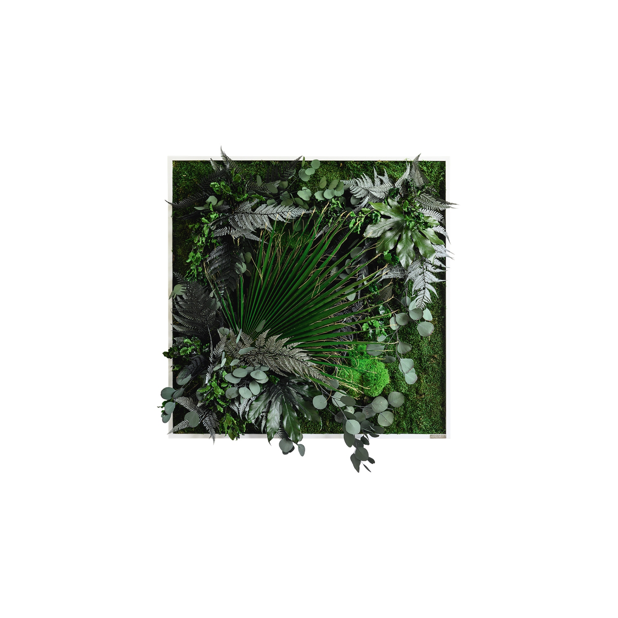 StyleGreen Pflanzenbild Dschungeldesign Moos weiß Vollholzrahmen 80 x 80 x 4 cm (B x H x T)