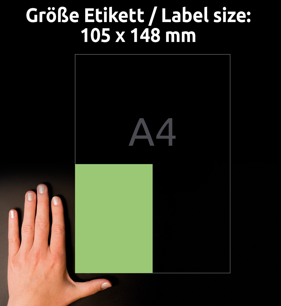 Avery Zweckform Universaletikett 105 x 148 mm grün