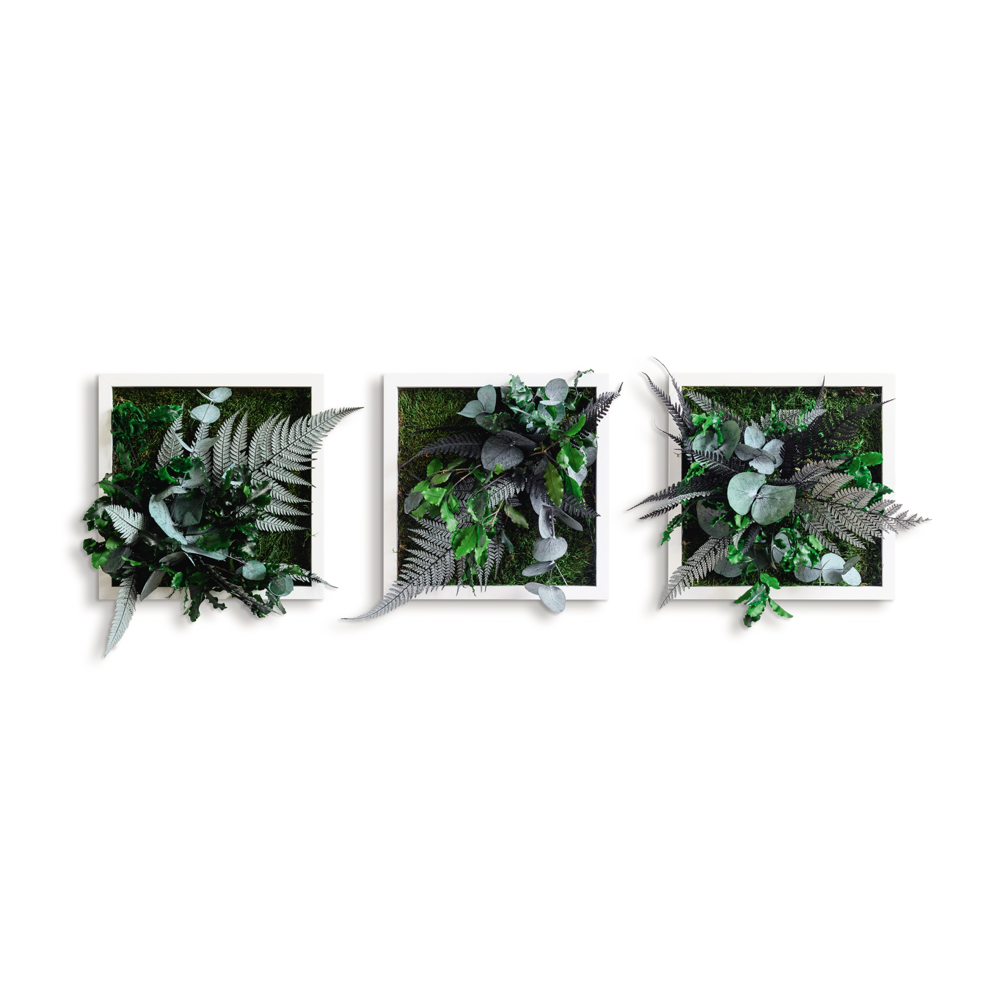 StyleGreen Pflanzenbild Dschungeldesign Moos weiß Vollholz 3er Pack