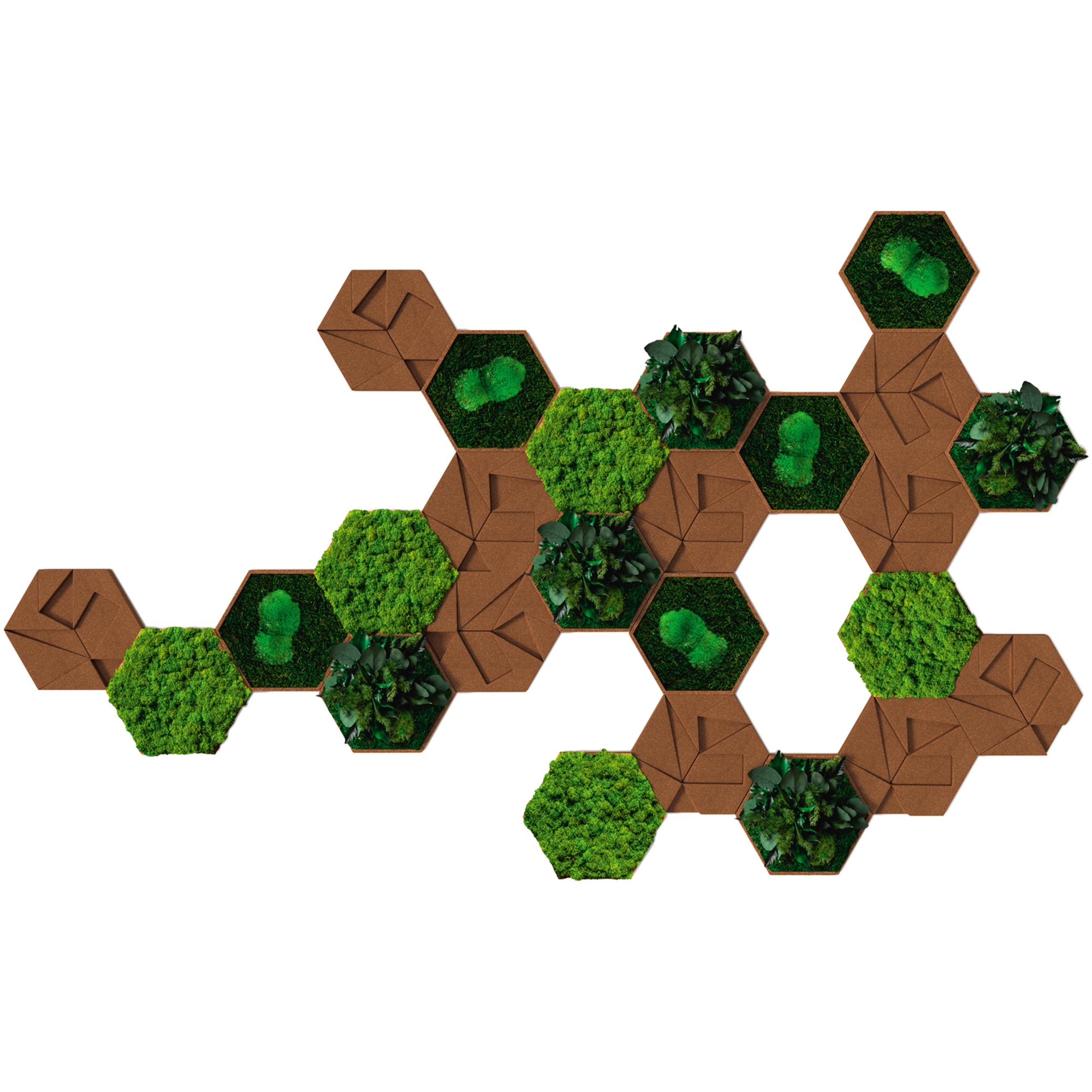 StyleGreen Pflanzenbild Kork-Hexagon Fliesen Set 25 Teile