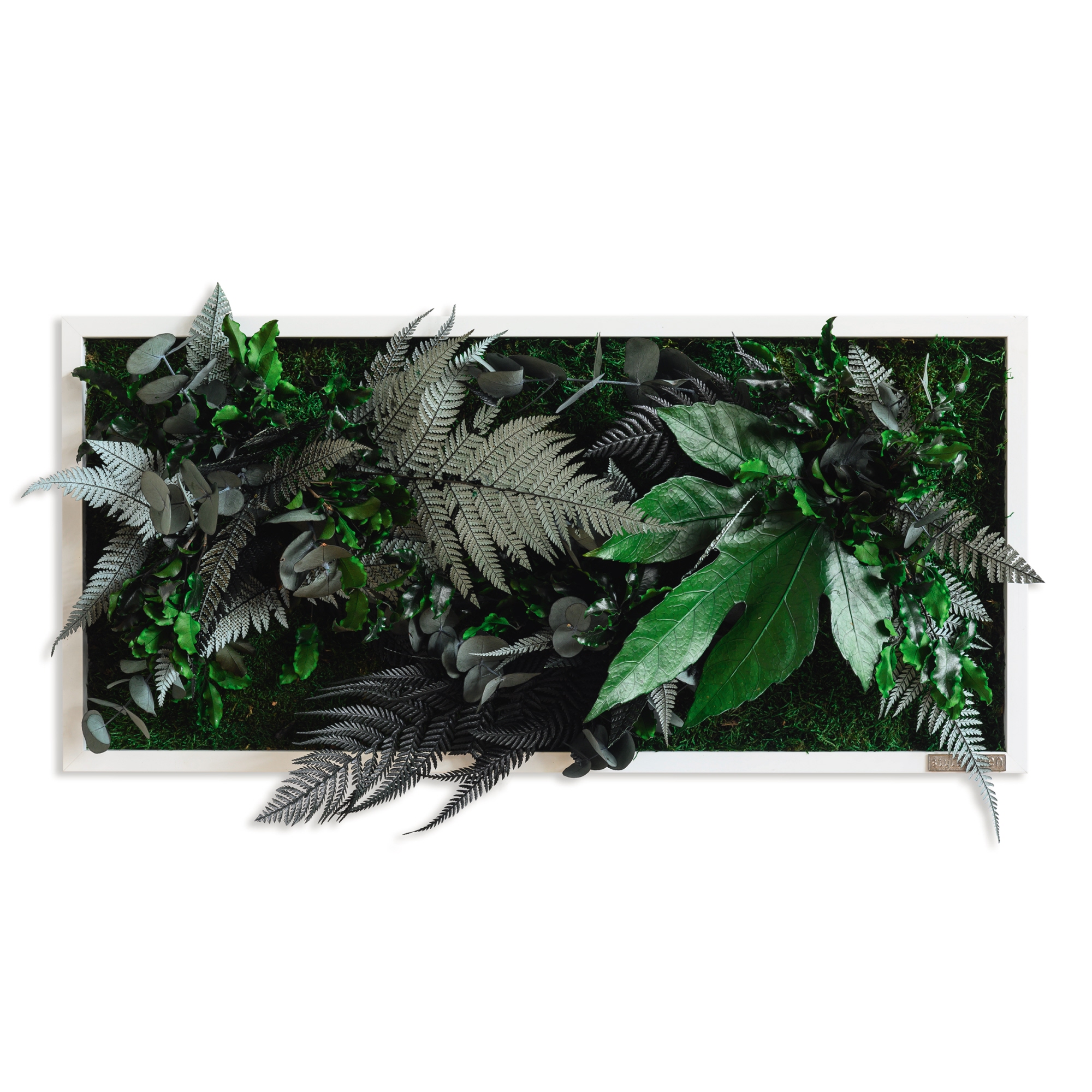 StyleGreen Pflanzenbild Dschungeldesign Moos weiß Vollholzrahmen 57 x 27 x 4 cm (B x H x T)