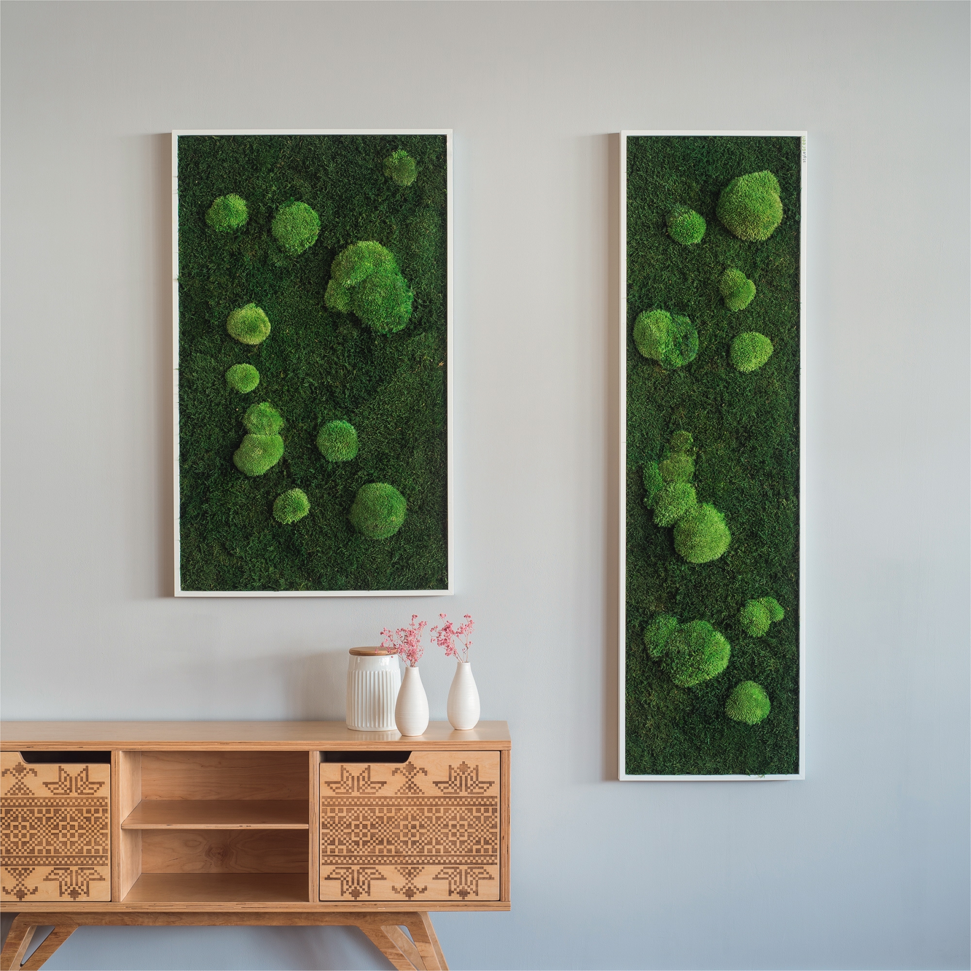 StyleGreen Pflanzenbild Wald-Kugelmoos weiß Vollholzrahmen 100 x 60 x 4 cm (B x H x T)