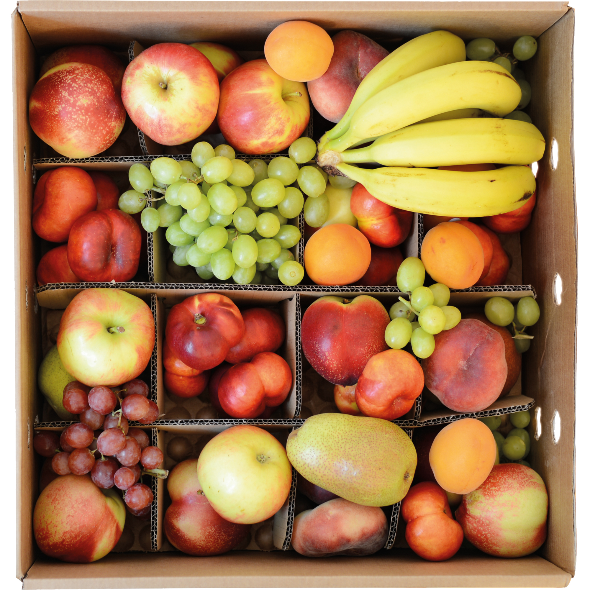 Obstpaket Box für ca. 8 Personen