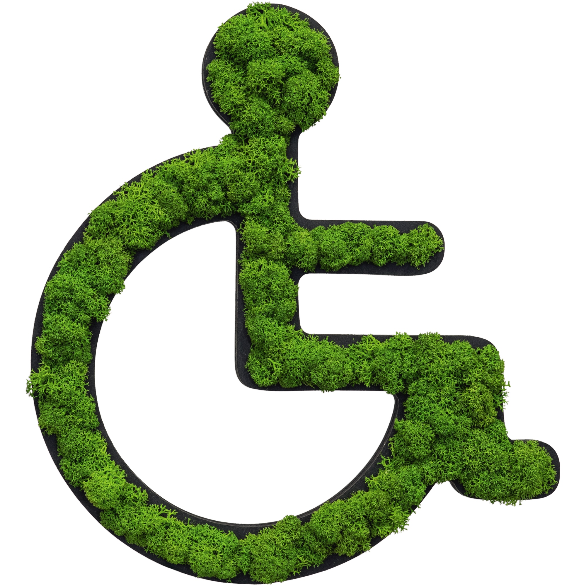 StyleGreen Pflanzenpiktogramm Rollstuhl Islandmoos MDF