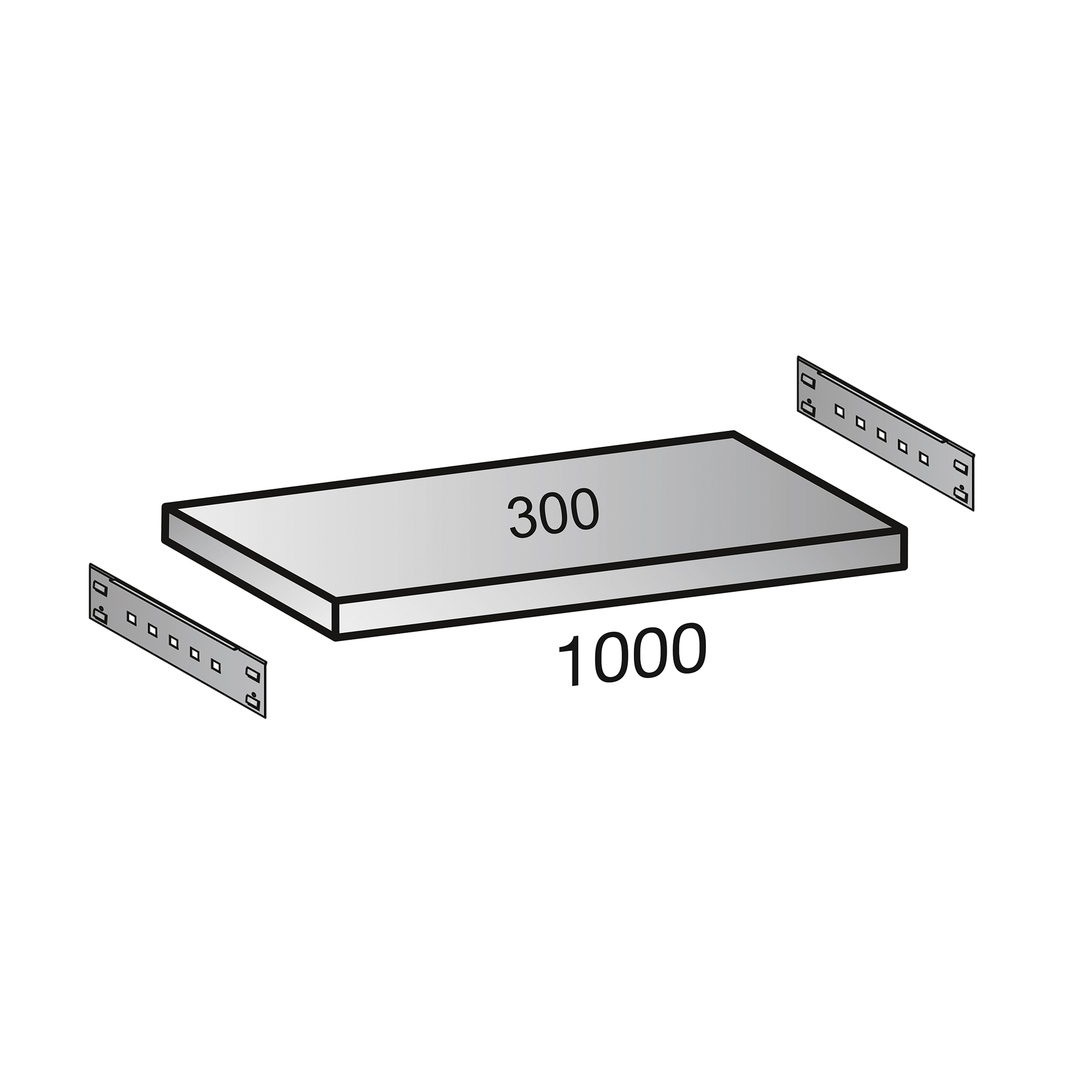 SCHOLZ Fachboden M100 100 kg 1.000 x 300 mm (B x T)