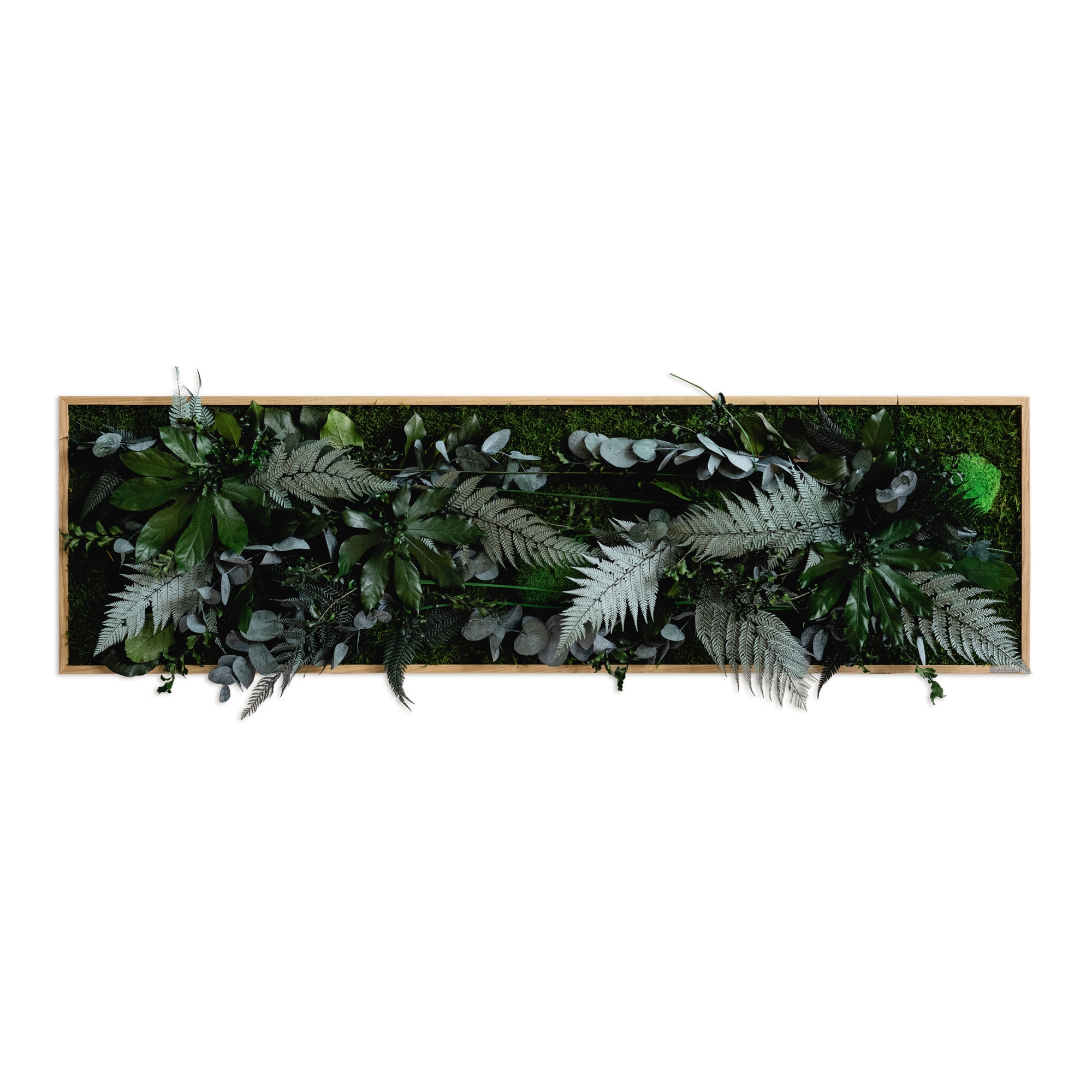 StyleGreen Pflanzenbild Dschungeldesign Moos Eichenfurnier Vollholz