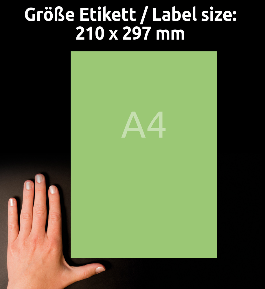 Avery Zweckform Universaletikett 210 x 297 mm grün