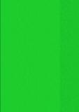 BRUNNEN Heftumschlag A4 blanko grün, transparent