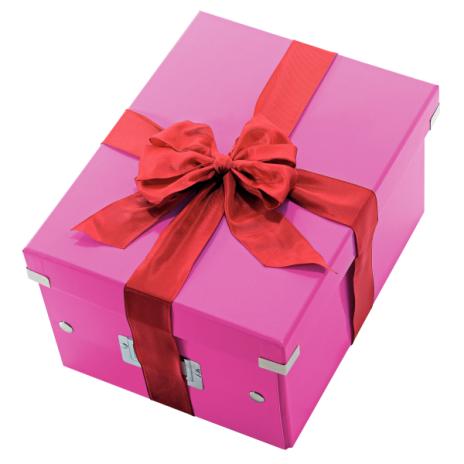 Leitz Aufbewahrungsbox Click & Store 28,1 x 20 x 36,9 cm (A4) pink-6