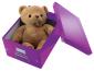 Leitz Aufbewahrungsbox Click & Store 28,1 x 20 x 36,9 cm (A4) violett-6